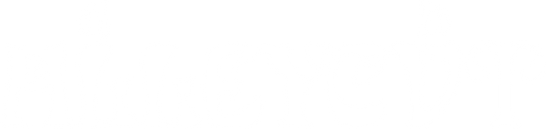 ALLEYCVT STORE